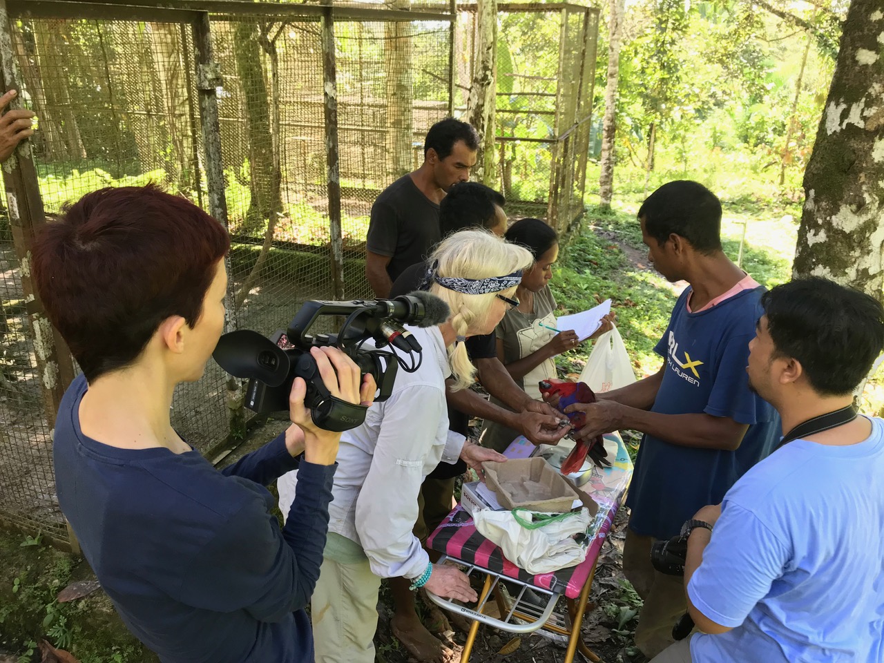 Magyar kutató az illegális papagájkereskedelem ellen Indonéziában